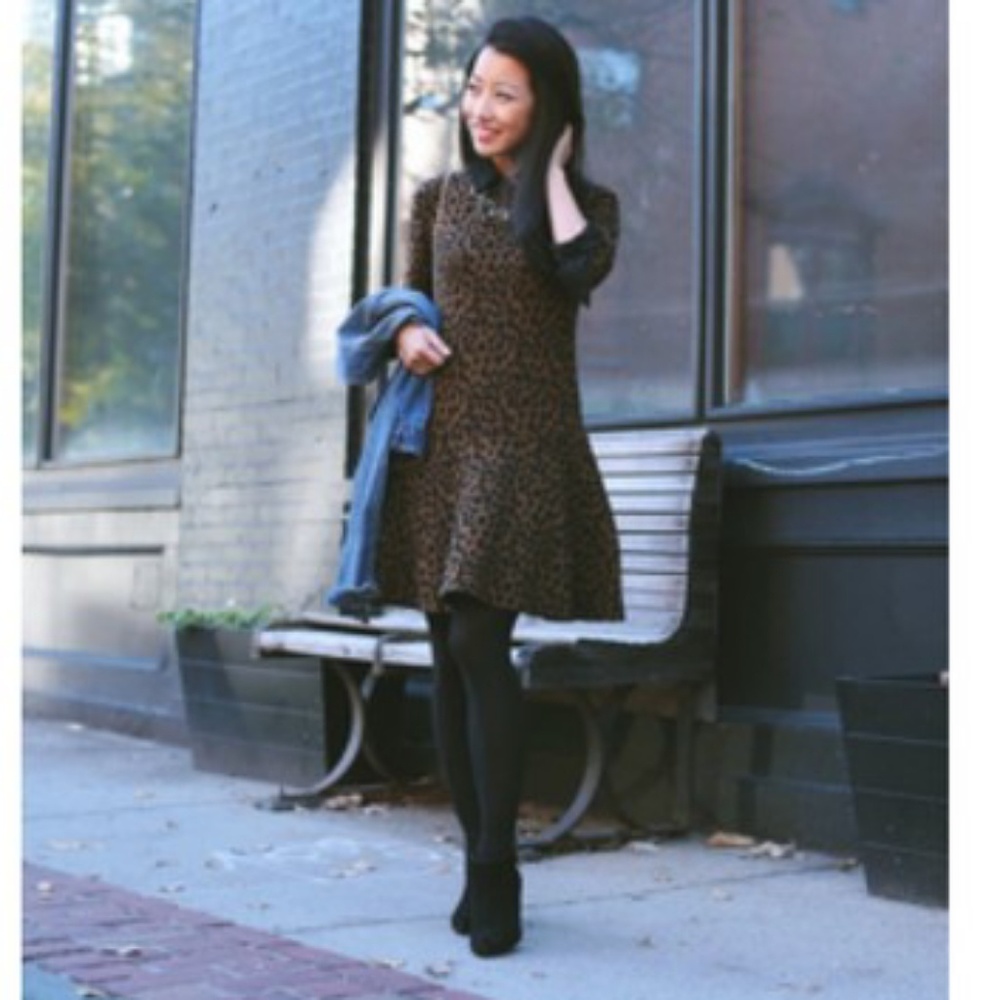 Ann Taylor Loft leopard dress